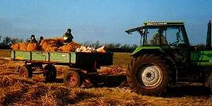 Materialtransport
